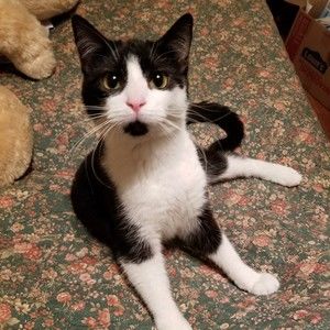 Meet your Posher, Maureen